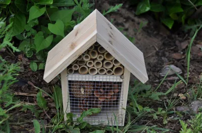 Produktbild von Grüner Jan Insektenhotel