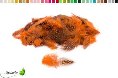 Produktbild von 3g Perlhuhnfedern ca. 3-10cm, Farbauswahl:orange 668