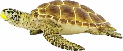 Zdjęcie produktu dla Mieszkaniec morza – żółw karetta Junior 9,19 cm brązowo-żółty