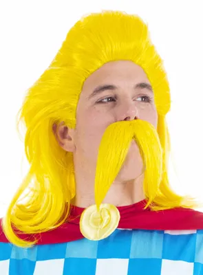 Produktbild von Troubadix Perücke & Bart - Kostüm Set für Fasching