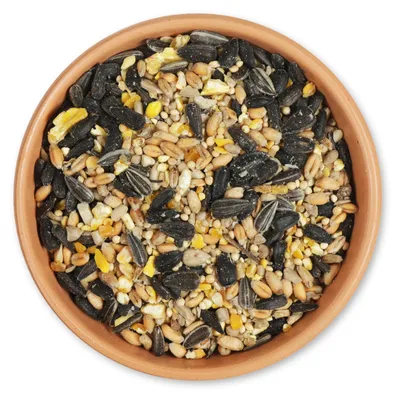 Produktbild von CJ Wildlife Streufutter für Wildvögel 20kg - Brut-Booster - Ganzjahresfutter - Boden- & Tischfütterung, nicht für Futtersäulen - für Bodenfresser