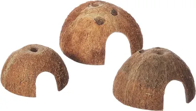 Zdjęcie produktu dla Skorupki kokosowe dla gadów i gryzoni - zestaw 3 sztuk - połówki kokosa - średnica 8/10/12 cm - jako schronienie
