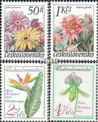 Produktbild von Briefmarken Tschechoslowakei 1980 Mi 2574-2577 (kompl.Ausg.) postfrisch Blumen