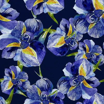 Obrázok produktu pre Vonkajšie dekorácie OXFORD - Motiv Iris I DX076