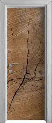 Produktbild von Tür Selbstklebende 70x210 cm Türfolie Türtapete Klebefolie - Holz Stamm