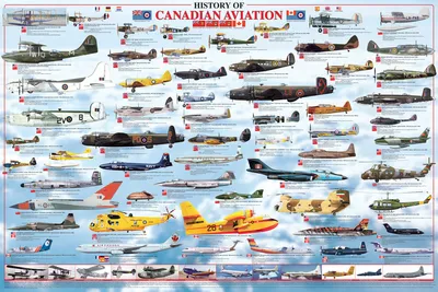 Immagine prodotto di Educativo - Istruzione - Aviazione canadese - Poster didattici
