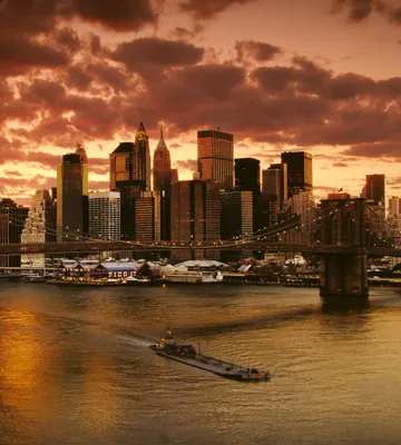Produktbild von Fototapete - New York 225x250cm - Vliestapete