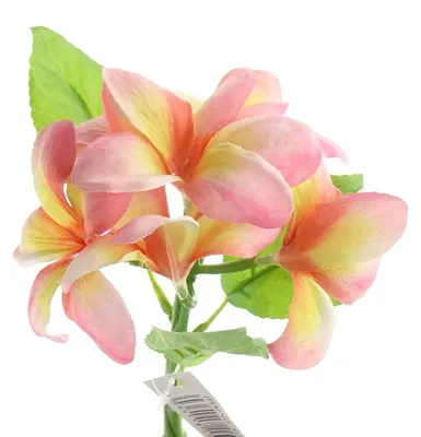 Produktbild von GASPER Frangipani - Plumeria Rosa & Gelb 32 cm - Kunstblumen