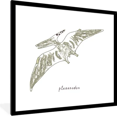 Produktbild von MuchoWow® Gerahmtes Poster Kinderzimmer - Pteranodon - Dinosaurier - Jungen - Mädchen - Kinder - Kinder 40x40 cm - Poster mit Schwarzem Bilderrahmen Wandposter Rahmen Foto Bilder - Mit Rahmen - Wanddekoration Schlafzimmer