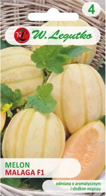 Produktbild von Samen der Malaga F1 Melone 0.50g - W.Legutko
