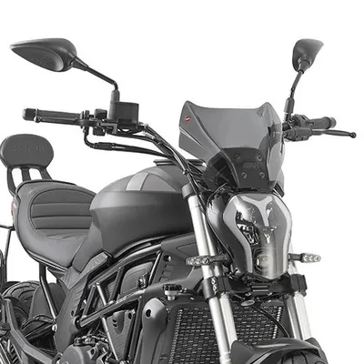 Immagine prodotto di Parabrezza Givi 1173SG oscurato 220 mm x 310 mm con ABE per vari modelli