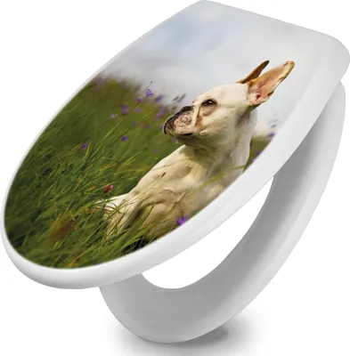 Produktbild von banjado Toilettendeckel mit Absenkautomatik 37,3x45x5cm -Französische Bulldogge - WC Brille Soft Close - hygienischer Toilettendeckel/Klodeckel Duroplast mit Edelstahl Scharnieren - einfache Montage [TDW 10511]