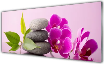 Produktbild von Acrylglasbilder 125x50 Wandbild Druck Blumen Steine Blätter Pflanzen
