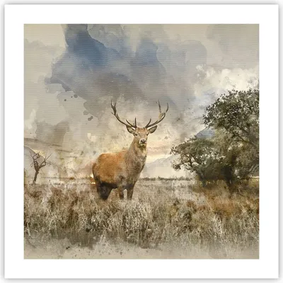 Produktbild von Poster - Poster ohne Rahmen - rotwild natur - 50x50 cm - Wand Bild - Wanddeko - Wandbilder - Kunstposter - Wandposter - Bilder - Kunstdruck - Wanddekoration - Wandbild - P2XAC50x50-3465