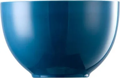 Produktbild von Thomas 10850-408534-15456, Porzellan, 0,45 l