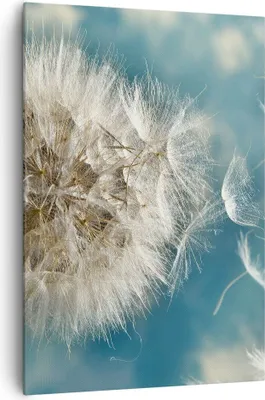 Produktbild von Bild auf Leinwand - Leinwandbild - Einteilig - Baby Sommer Pflanze - 70x100cm - Wand Bild - Wanddeko - Wandbilder - Leinwanddruck - Wanddekoration - Leinwand bilder - Wandbild - PA70x100-3567