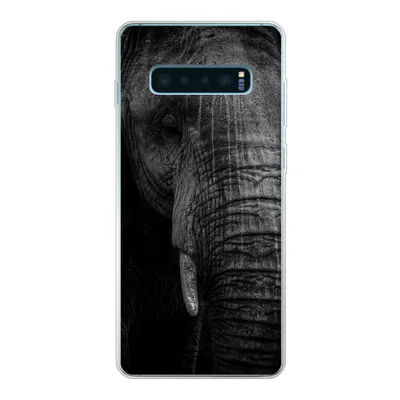 Produktbild von MuchoWow® Handyhülle Schutzhülle Hülle für Samsung Galaxy S10 Plus Elefant - Tier - Porträt Silikon Softcase Handy Hülle - Schutzhülle