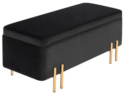 Produktbild von Sitzbank, Polsterbank mit Stauraum, Metall, Kautschukholz, Schaumstoff, 100 x 40 x 42 cm, Schwarz