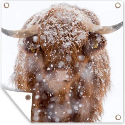 Produktbild von MuchoWow® 100x100 cm Outdoor-Poster Gartendeko Sichtschutz Garten Poster für den Garten  Schottischer Highlander - Schnee - Porträt