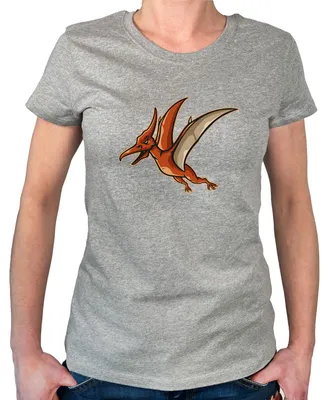Produktbild von Huuraa Damen T-Shirt Pteranodon Dinosaurier XS Sport Grey Bio Baumwolle Fairtrade Damenshirt Geschenkidee