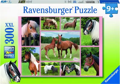 Produktbild von Ravensburger 13174, 300 Stück(e), 9 Jahr(e)