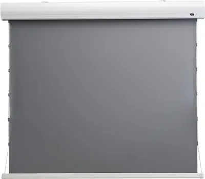 Produktbild von celexon HomeCinema Hochkontrastleinwand Tension 221 x 124 cm 100" - Dynamic Slate ALR