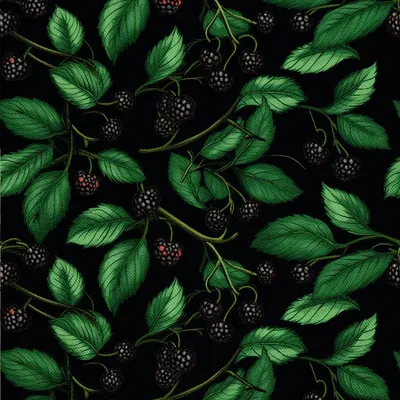 Produktbild von OUTDOOR DEKOSTOFFE OXFORD - Motiv Obst | DX7038