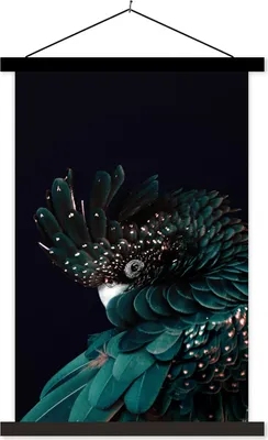 Produktbild von MuchoWow® Textilposter Kakadu - Vogel - Schwarz 60x90 cm mit schwarzem Rahmen - Poster Wohnzimmer