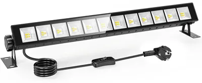 LED-Wandfluter 30 W 6500 K kaltweiß 5000 lm IP66 schwarz