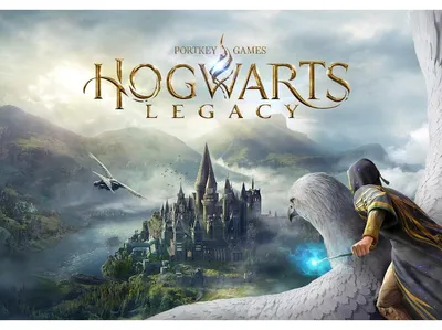 Zdjęcie produktu dla Warner Bros Hogwarts Legacy, Nintendo Switch 2, Powyżej 13 lat, Nośnik fizyczny