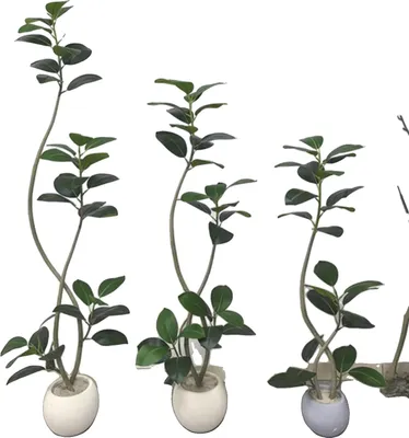 Obrázek produktu pro Umělý fíkovník, elegantní domácí dekorace, snadná péče, zelený, 210 cm