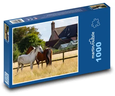 Zdjęcie produktu dla Puzzle 1000 Konie w zagrodzie - martinpuzzle