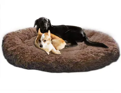 Image de Lit orthopédique pour chien, taille XXL, canapé pour chien, couleur marron, mousse à mémoire de forme, lavable, antidérapant