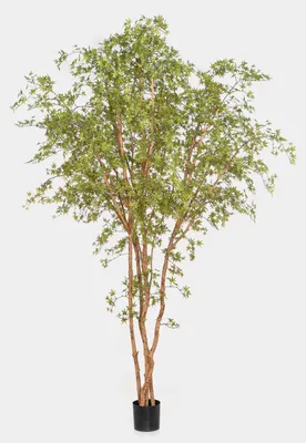Produktbild von artplants.de Japanischer Kunst Ahornbaum ZEDRIC, Echtstamm, grün, 330cm - Kunstpflanze Ahorn