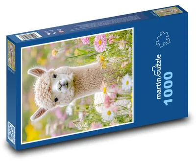Zdjęcie produktu dla Puzzle 1000 Alpaka na kwiecistej łące - martinpuzzle