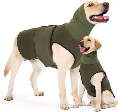 Image de Pull pour chien - Réfléchissant - Respirant