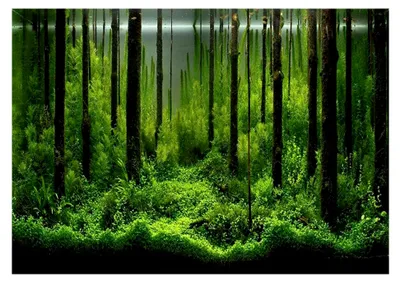 Produktbild von Aquarium Poster, PVC Hintergrund für Aquarien, Dekorationspapier (61 * 41 cm)