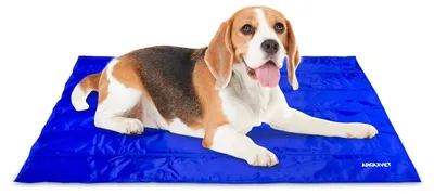 Produktbild von Arquivet Kühlmatte für Hunde und Katzen, 50 x 90 cm, Kühlmatte für Haustiere