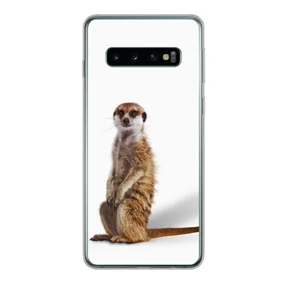 Produktbild von MuchoWow® Handyhülle Schutzhülle Hülle für Samsung Galaxy S10 Erdmännchen - Tiere - Fell Silikon Softcase Handy Hülle - Handytasche