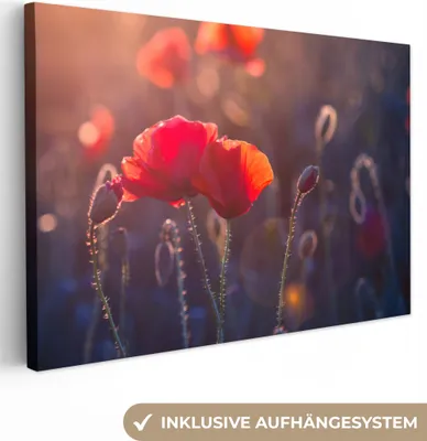 Produktbild von OneMillionCanvasses® - Leinwandbilder - 150x100 cm, Blumen - Mohn - Rot, Wandbilder Kunstdruck Wanddekoration