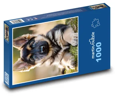 Obrázok produktu pre Puzzle 1000 Hrave Nemecké Šteniatko na Lúke - martinpuzzle