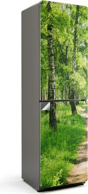 Obrázek produktu pro Lesní cesta v přírodě - Nálepka na lednici - Samolepící dekorace na lednici - samolepící fólie - dekorace do kuchyně - 60x205 cm