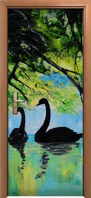 Produktbild von Türposter 80x200 cm Türaufkleber Türtapete Türfolie Klebefolie Tiere Schwänen auf dem See