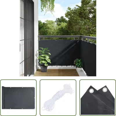 Image de The Living Store Pare-vue de jardin Anthracite 300x90 cm PVC