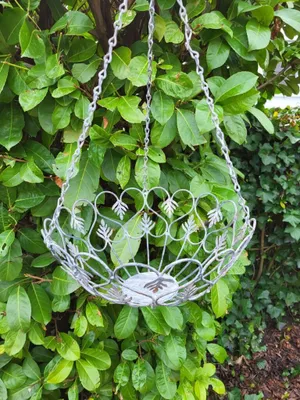 Produktbild von Shabby Chic Hängekorb Marlene