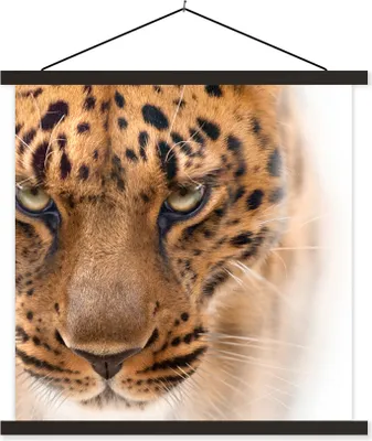 Produktbild von MuchoWow® Textilposter Leopard - Porträt - Augen 60x60 cm mit schwarzem Rahmen - Posteraufhänger