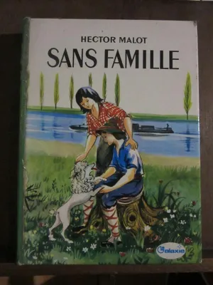 Image de Sans famille