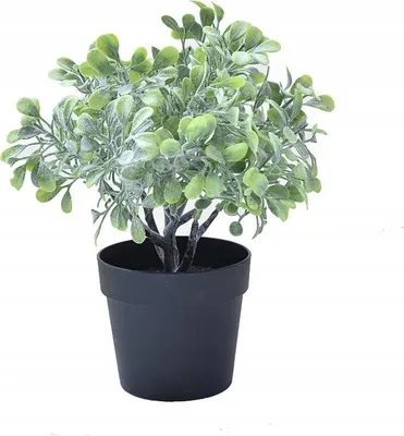 Zdjęcie produktu dla SZTUCZNA Roślina W DONICZCE REALISTYCZNA 20cm ŁADNA KRZACZEK do DOMU BIURA