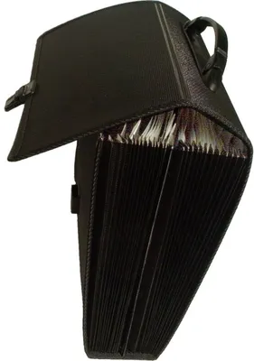 Produktbild von FSY Fächertasche A4, 24 Fächer, PP, schwarz, 1 Stück
