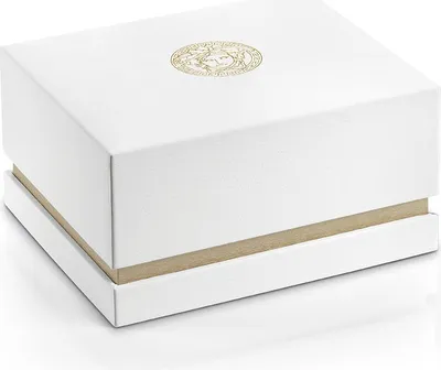 Image de Versace - Montre-bracelet - hommes - chronographe - quartz - New Chrono - VE2E00421
